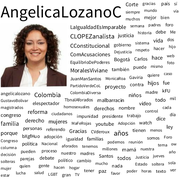 /galleries/projects/datapolis/politicians/word-clouds/angelicaLozanoC-word-cloud.thumbnail.png